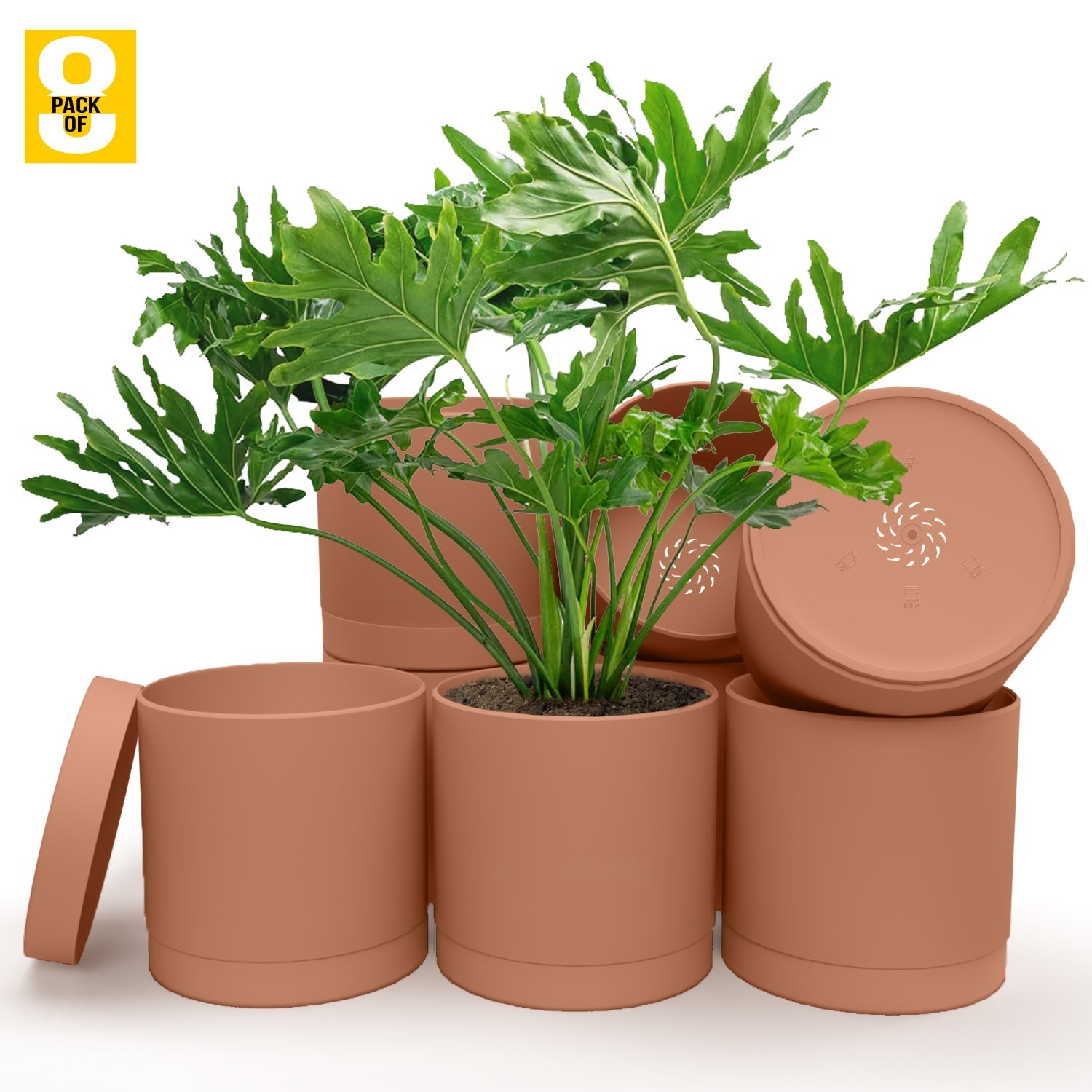 6-Inch Plastic Planter Pots – Cylindrical Stylish, Durable & Plant-Friendly with Drainage & Seamless Saucers