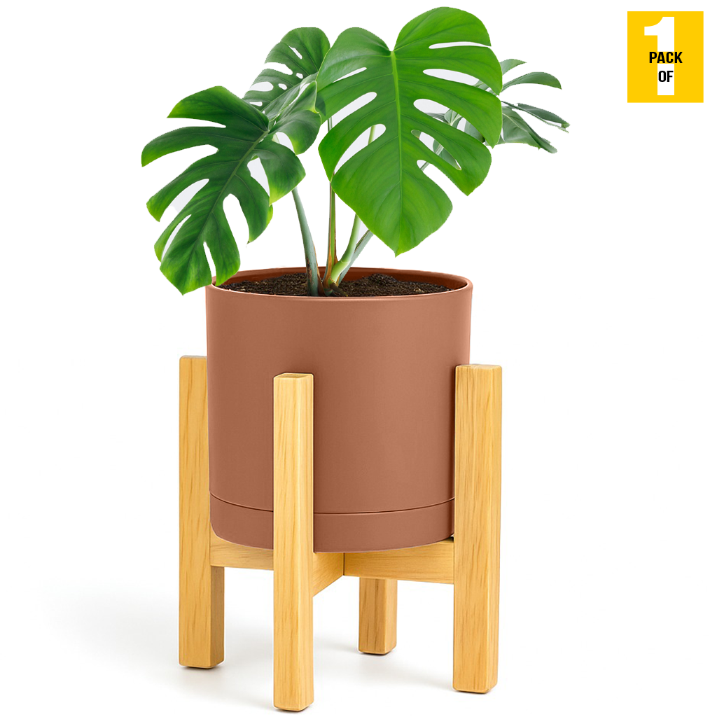Modern Cylinder Planter Pots with Drainage & Wooden Stand – Durable ABS Plastic with Seamless Saucers – Ideal for Indoor & Outdoor Plant Styling – Pack of 2