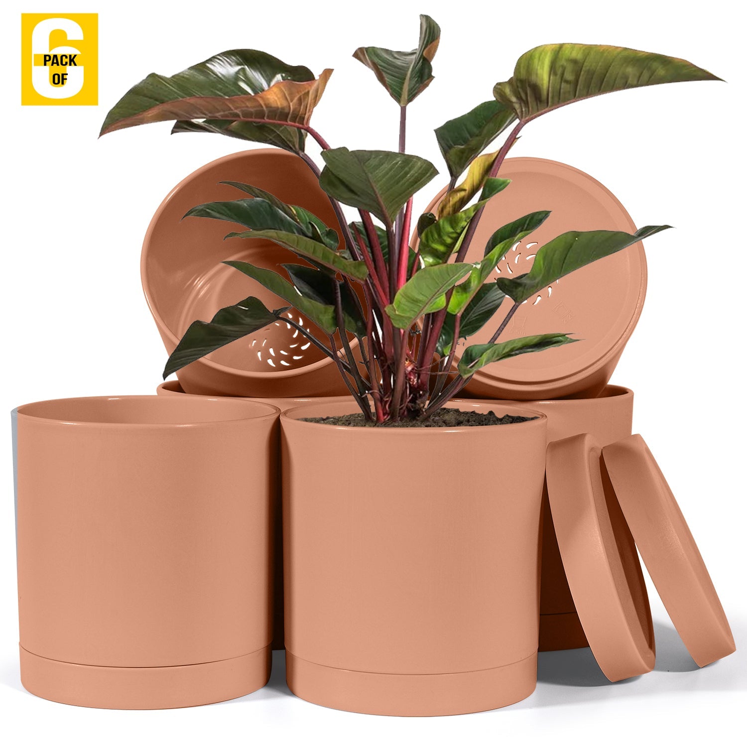 6-Inch Plastic Planter Pots – Cylindrical Stylish, Durable & Plant-Friendly with Drainage & Seamless Saucers