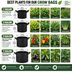 Heavy Duty Nonwoven Fabric Grow Bags with Handles – Pack of 2