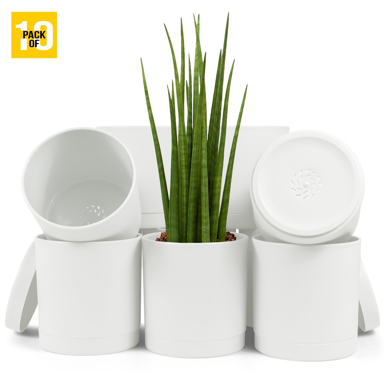 6-Inch Plastic Planter Pots – Cylindrical Stylish, Durable & Plant-Friendly with Drainage & Seamless Saucers