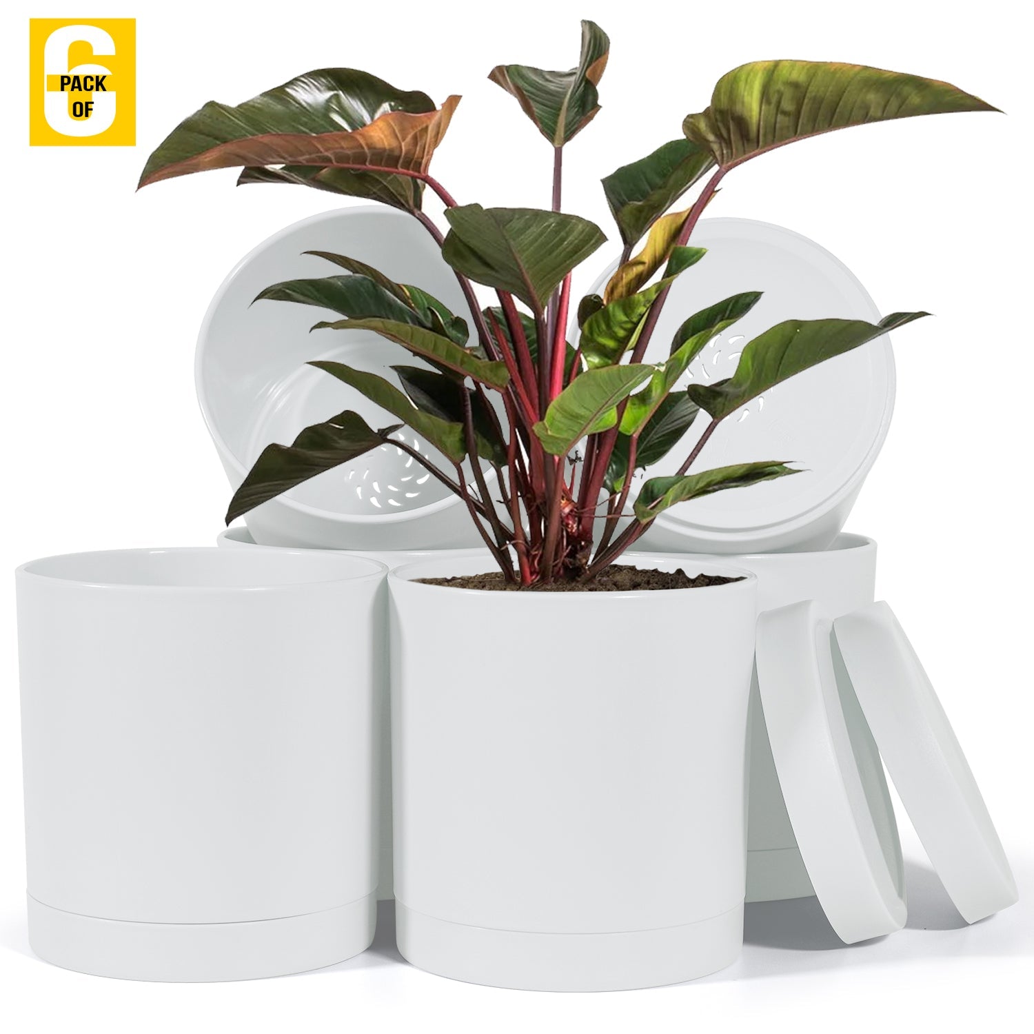6-Inch Plastic Planter Pots – Cylindrical Stylish, Durable & Plant-Friendly with Drainage & Seamless Saucers