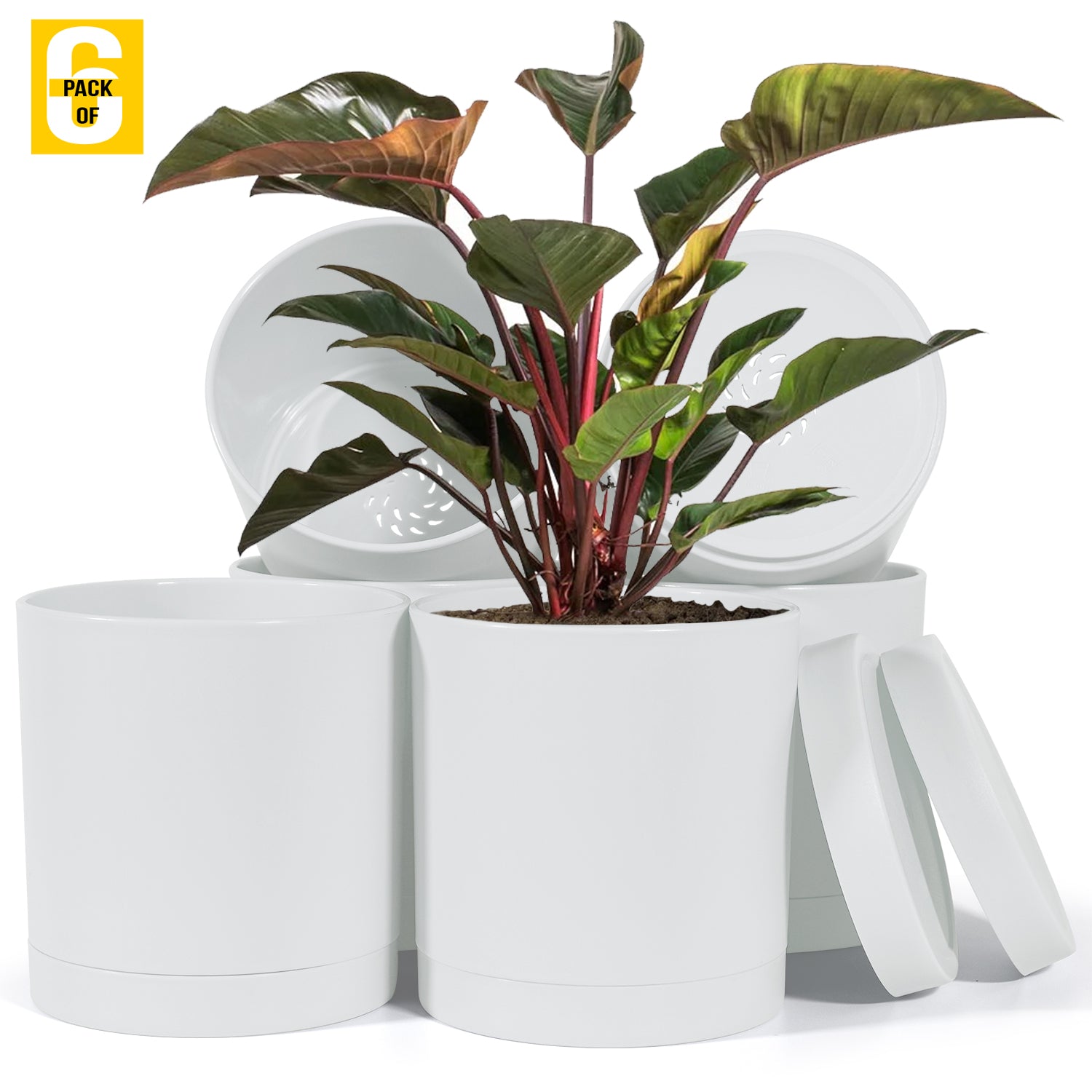 6-Inch Plastic Planter Pots – Cylindrical Stylish, Durable & Plant-Friendly with Drainage & Seamless Saucers