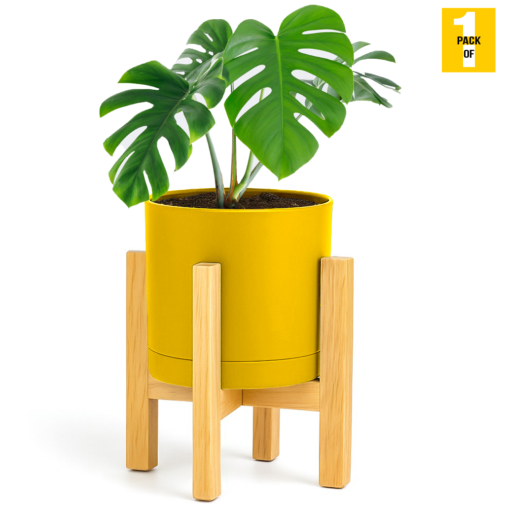 Modern Cylinder Planter Pots with Drainage & Wooden Stand – Durable ABS Plastic with Seamless Saucers – Ideal for Indoor & Outdoor Plant Styling – Pack of 2