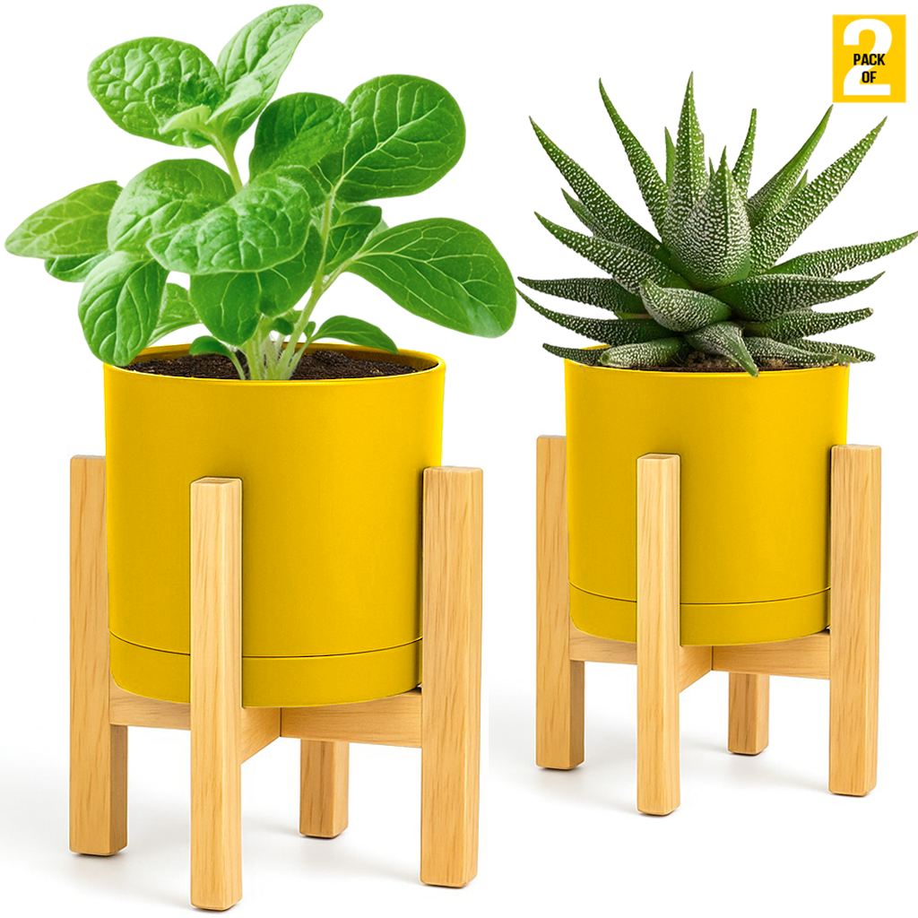 Modern Cylinder Planter Pots with Drainage & Wooden Stand – Durable ABS Plastic with Seamless Saucers – Ideal for Indoor & Outdoor Plant Styling – Pack of 2