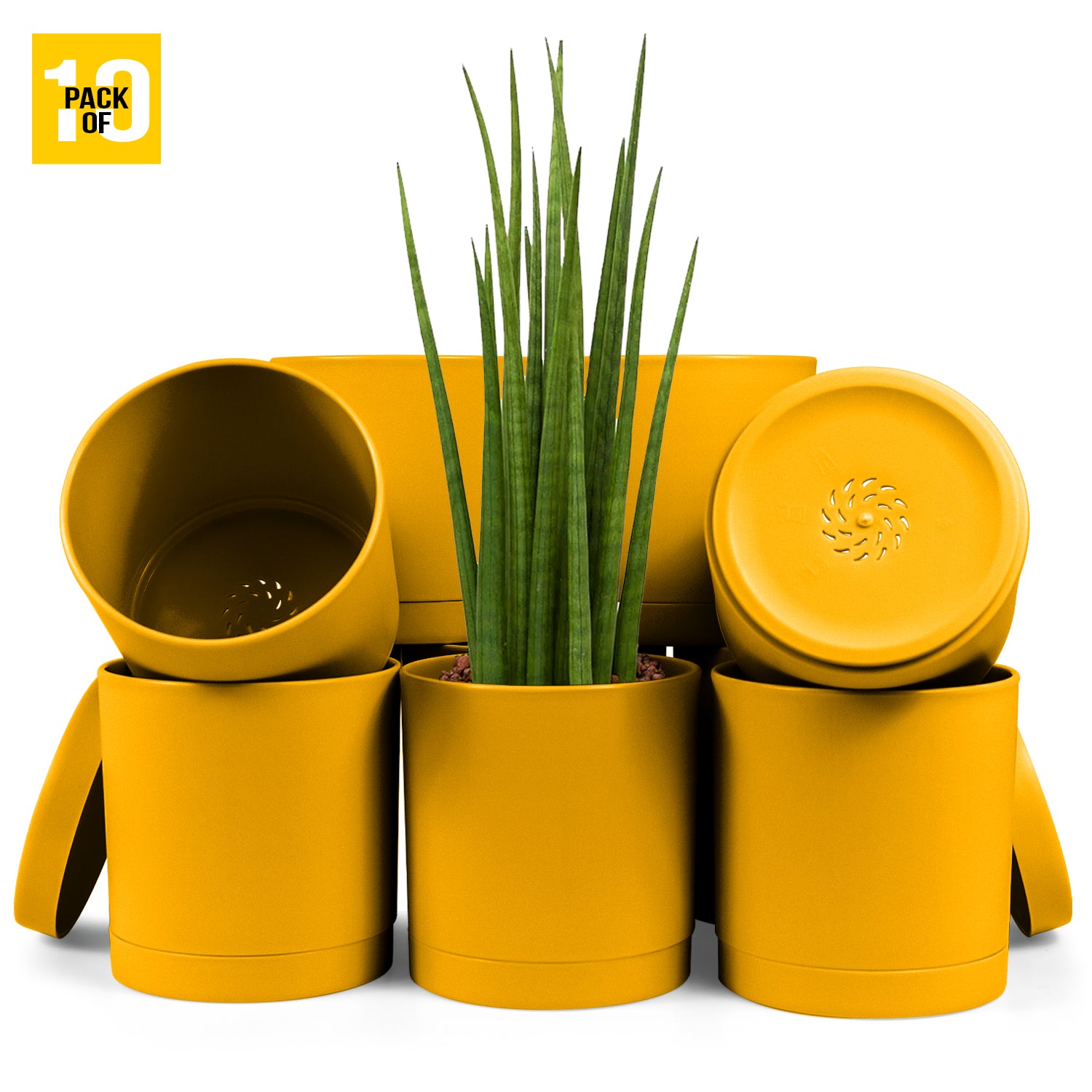 6-Inch Plastic Planter Pots – Cylindrical Stylish, Durable & Plant-Friendly with Drainage & Seamless Saucers