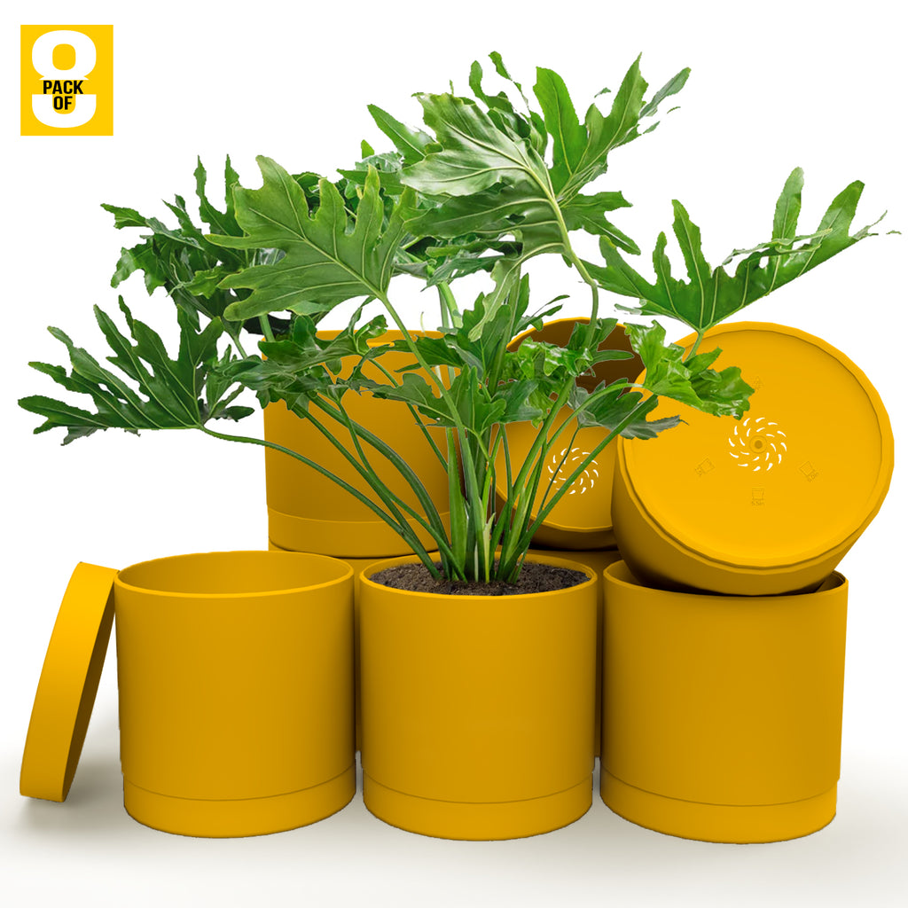 6-Inch Plastic Planter Pots – Cylindrical Stylish, Durable & Plant-Friendly with Drainage & Seamless Saucers