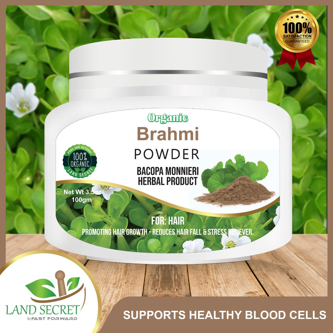 Brahmi Powder Promotes Hair Growth  Enhances Learning Memory  Improves Learning Ability 100 gm Land Secret