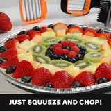 Nicer Dicer with Fresh keeping container Chops Slices Cubes Wedges Multi with Stainless Steel Blades Fast Forward