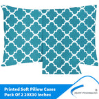 Pillowcases Printed 2 Pack Envelope Closure Pillow Covers Fast Forward